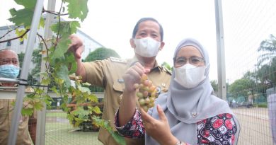 Walikota Jakut Cicipi Anggur Di Urban Farm Kantor Walikota