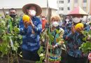 Urban Farming Jakarta Utara Kembali Panen Melon Varietas Unggul